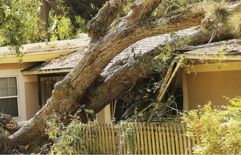 Citizens Property Insurance policy count up 50% in 2022